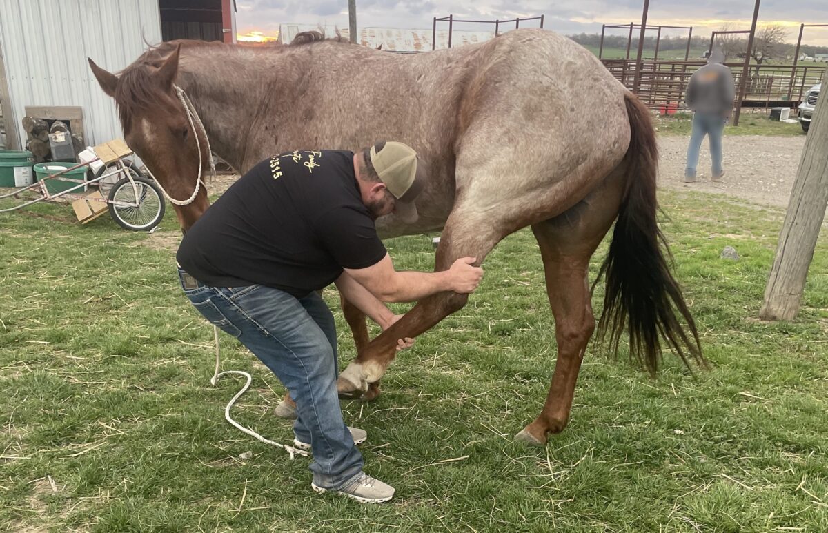 2025-03-28-equine-chiropractor-nowata-img-1670-horizontal 2025 03 28 Equine Chiropractor Nowata Img 1670 Horizontal