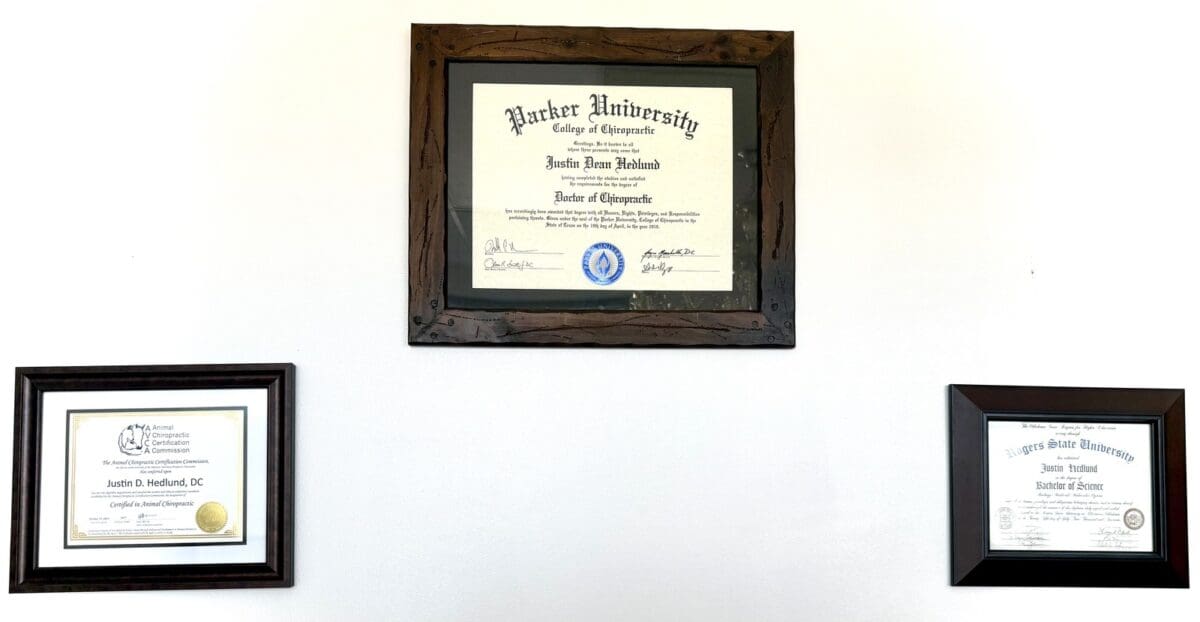 Justin Hedlund Chiropractor Degrees And Certificates Img 5953 Justin Hedlund Chiropractor Degrees And Certificates Img 5953